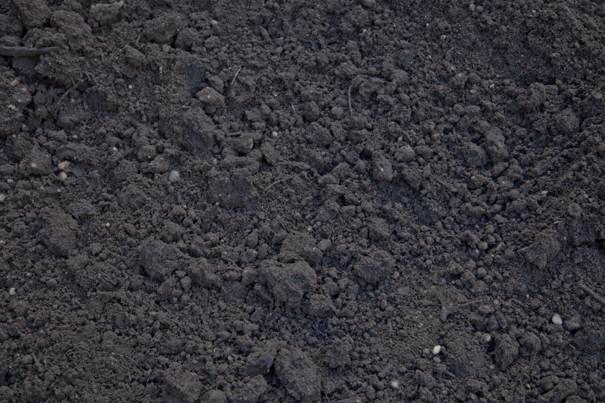 Grabserve top soil